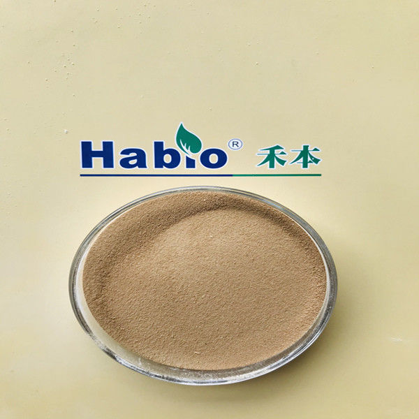 Enhance Protein Hydrolysis Keratinase Enzyme High Purity White In Leather Industry