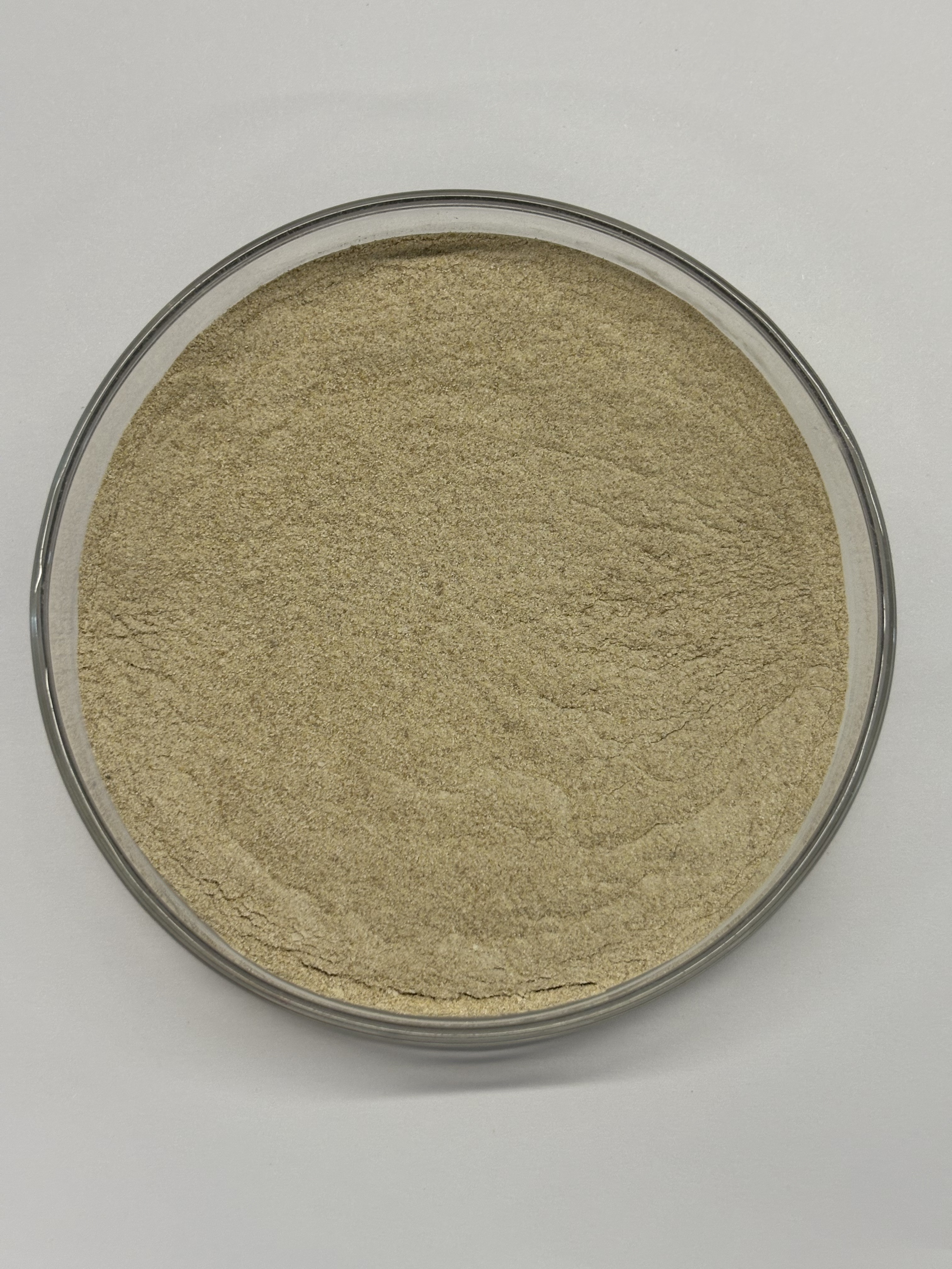BP100 Feed Protease Enzyme for Protein Digestibility & Gut Health